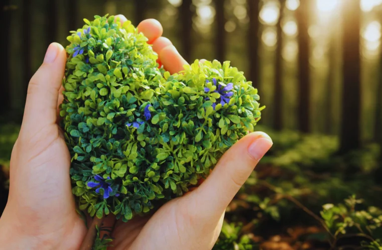 sustainable goals